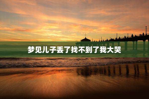 梦见儿子丢了找不到了我大哭