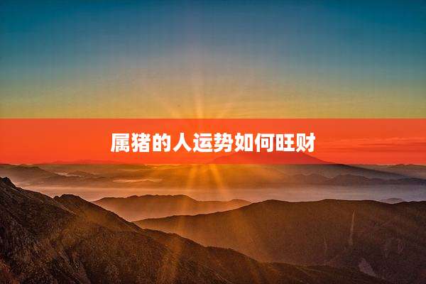属猪的人运势如何旺财