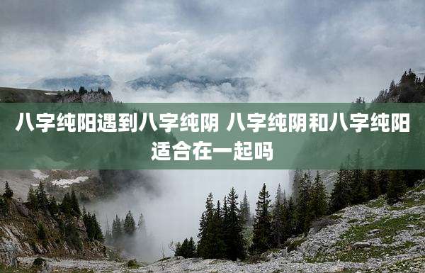 八字纯阳遇到八字纯阴 八字纯阴和八字纯阳适合在一起吗