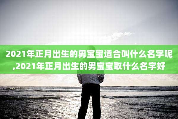 2021年正月出生的男宝宝适合叫什么名字呢,2021年正月出生的男宝宝取什么名字好