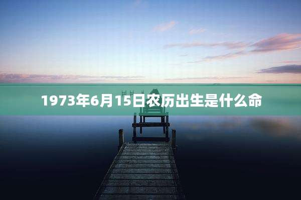 1973年6月15日农历出生是什么命