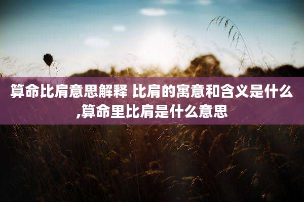 算命比肩意思解释 比肩的寓意和含义是什么,算命里比肩是什么意思