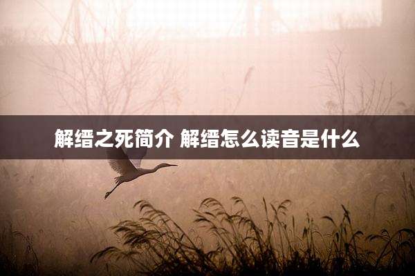 解缙之死简介 解缙怎么读音是什么