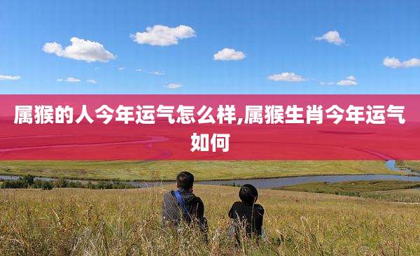 属猴的人今年运气怎么样,属猴生肖今年运气如何