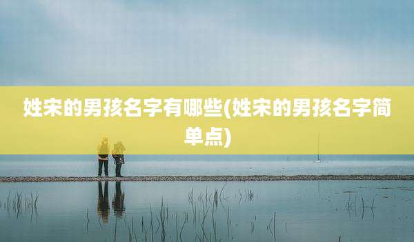 姓宋的男孩名字有哪些(姓宋的男孩名字简单点)