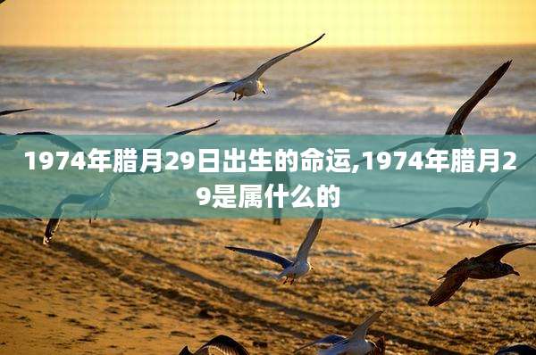 1974年腊月29日出生的命运,1974年腊月29是属什么的