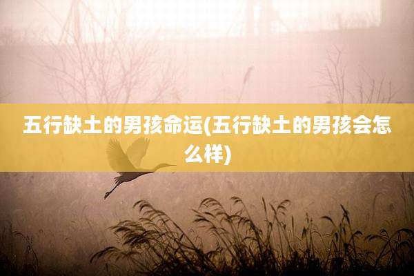 五行缺土的男孩命运(五行缺土的男孩会怎么样)