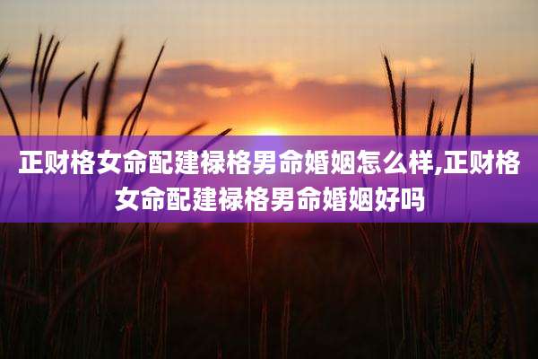 正财格女命配建禄格男命婚姻怎么样,正财格女命配建禄格男命婚姻好吗