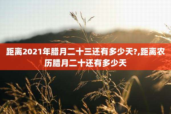 距离2021年腊月二十三还有多少天?,距离农历腊月二十还有多少天