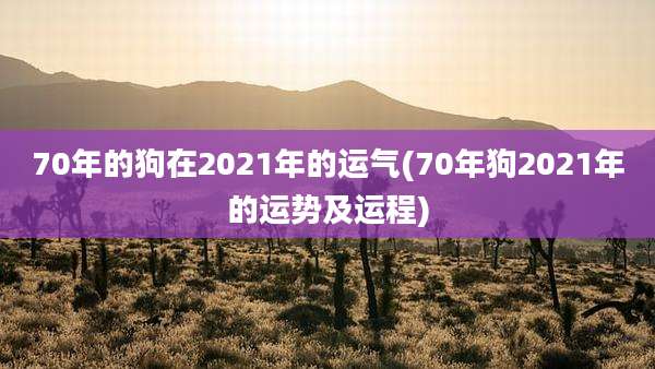 70年的狗在2021年的运气(70年狗2021年的运势及运程)