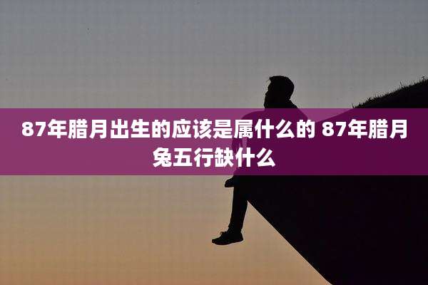 87年腊月出生的应该是属什么的 87年腊月兔五行缺什么