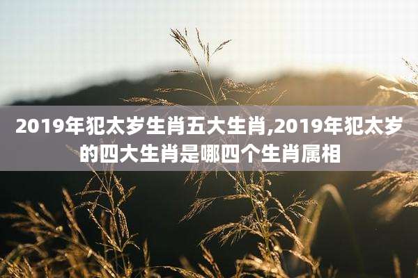 2019年犯太岁生肖五大生肖,2019年犯太岁的四大生肖是哪四个生肖属相