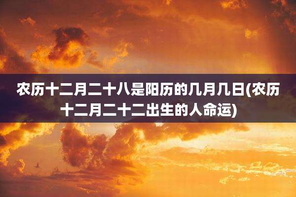 农历十二月二十八是阳历的几月几日(农历十二月二十二出生的人命运)