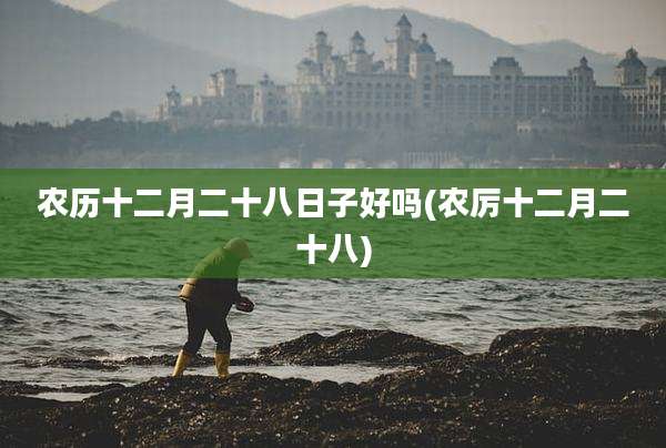 农历十二月二十八日子好吗(农厉十二月二十八)