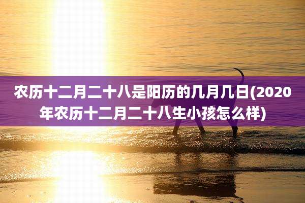 农历十二月二十八是阳历的几月几日(2020年农历十二月二十八生小孩怎么样)