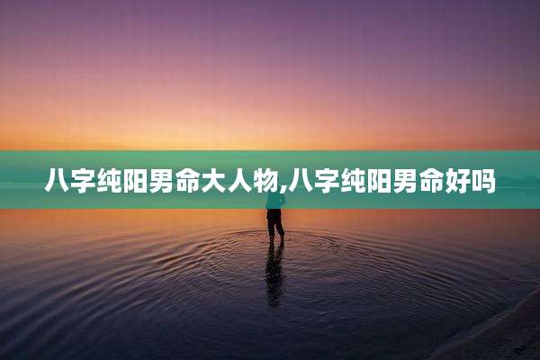 八字纯阳男命大人物,八字纯阳男命好吗