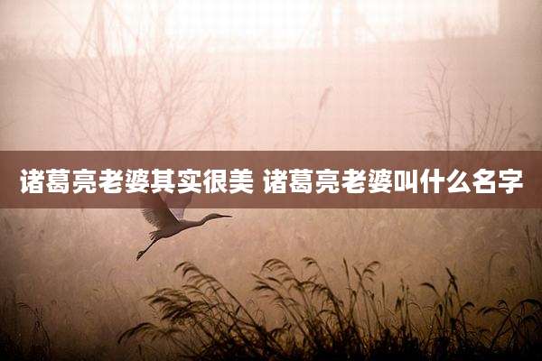 诸葛亮老婆其实很美 诸葛亮老婆叫什么名字