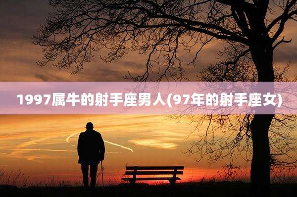 1997属牛的射手座男人(97年的射手座女)
