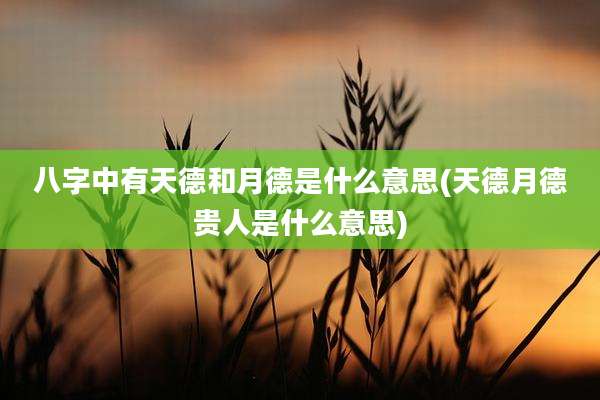 八字中有天德和月德是什么意思(天德月德贵人是什么意思)