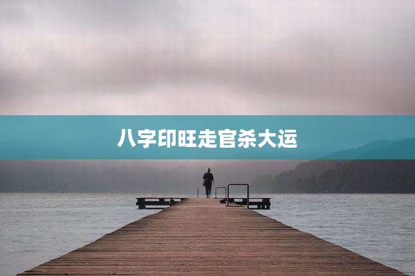 八字印旺走官杀大运