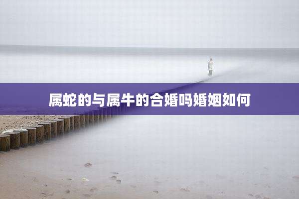 属蛇的与属牛的合婚吗婚姻如何