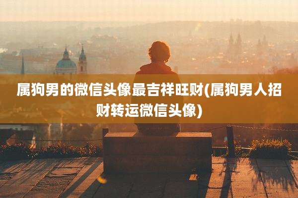 属狗男的微信头像最吉祥旺财(属狗男人招财转运微信头像)