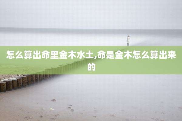 怎么算出命里金木水土,命是金木怎么算出来的