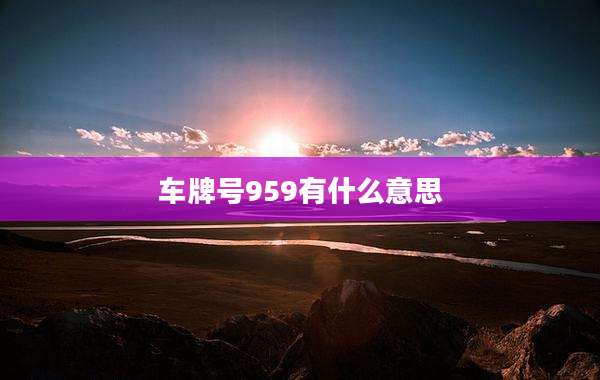 车牌号959有什么意思