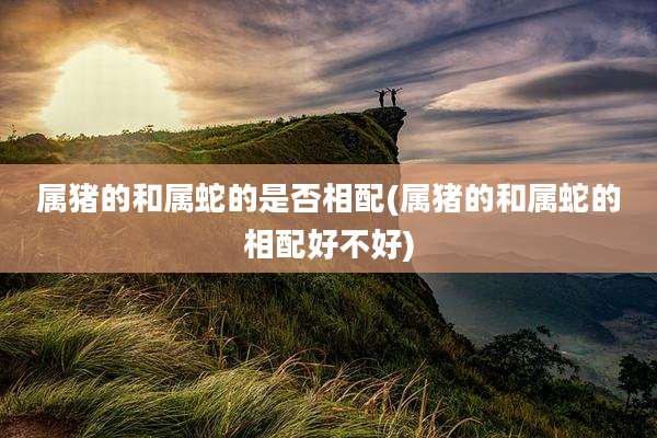 属猪的和属蛇的是否相配(属猪的和属蛇的相配好不好)