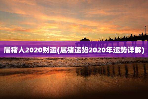 属猪人2020财运(属猪运势2020年运势详解)