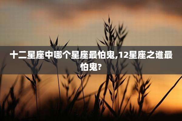 十二星座中哪个星座最怕鬼,12星座之谁最怕鬼?