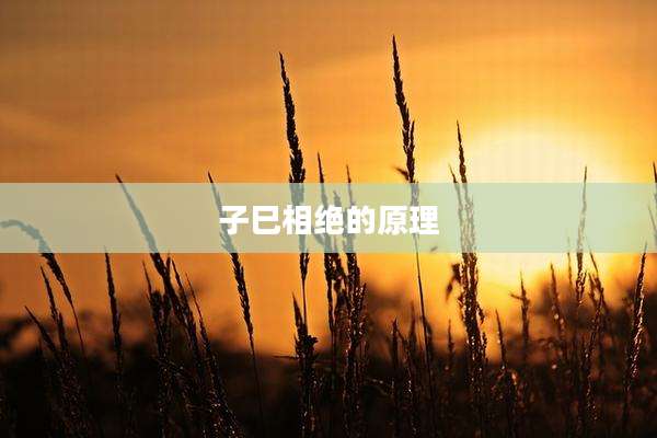 子巳相绝的原理