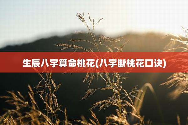 生辰八字算命桃花(八字断桃花口诀)
