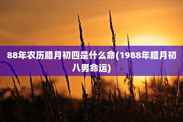88年农历腊月初四是什么命(1988年腊月初八男命运)