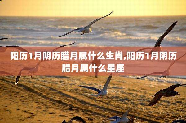 阳历1月阴历腊月属什么生肖,阳历1月阴历腊月属什么星座