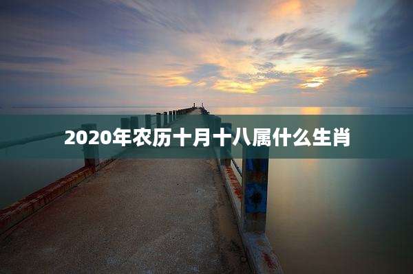 2020年农历十月十八属什么生肖
