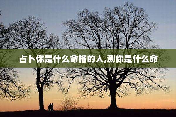 占卜你是什么命格的人,测你是什么命