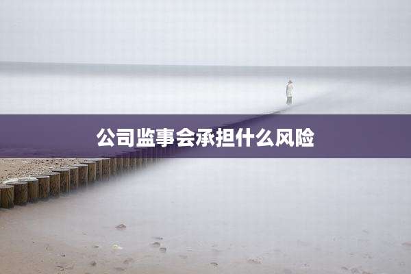 公司监事会承担什么风险