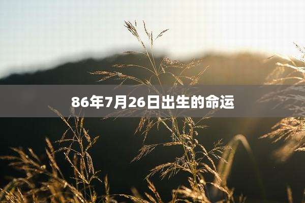 86年7月26日出生的命运