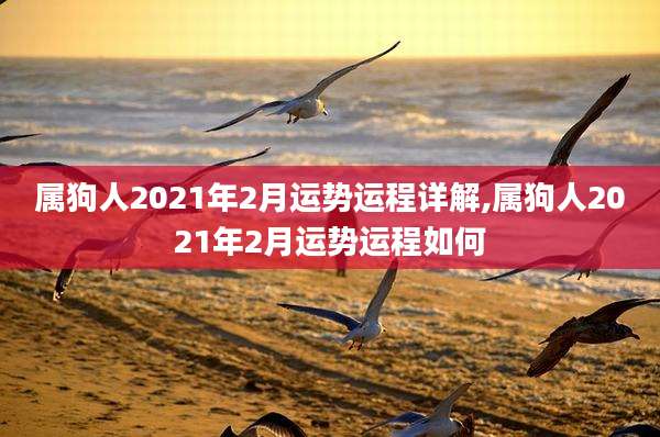 属狗人2021年2月运势运程详解,属狗人2021年2月运势运程如何