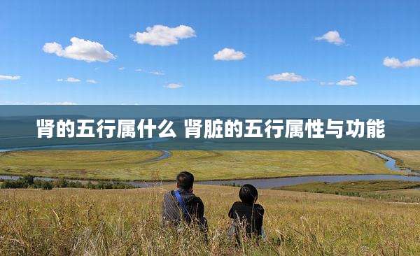 肾的五行属什么 肾脏的五行属性与功能