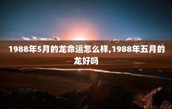 1988年5月的龙命运怎么样,1988年五月的龙好吗