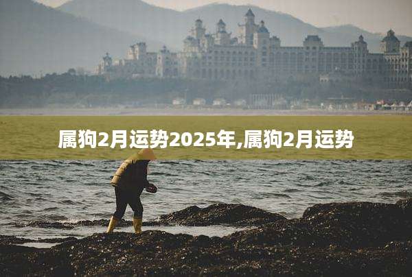 属狗2月运势2025年,属狗2月运势