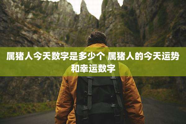 属猪人今天数字是多少个 属猪人的今天运势和幸运数字