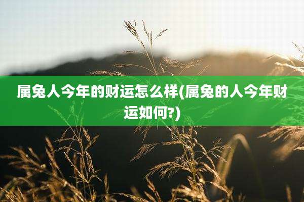 属兔人今年的财运怎么样(属兔的人今年财运如何?)