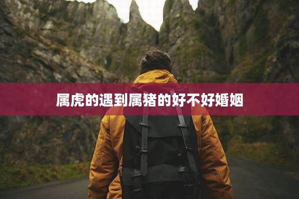 属虎的遇到属猪的好不好婚姻