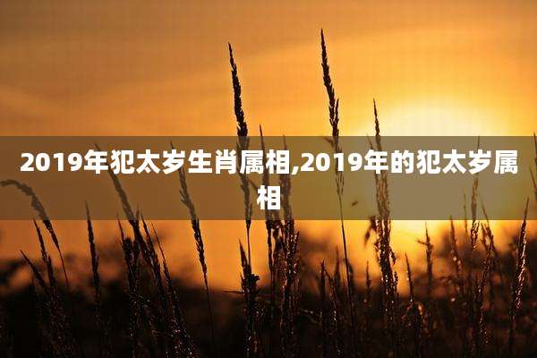 2019年犯太岁生肖属相,2019年的犯太岁属相