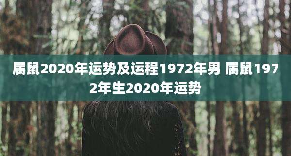 属鼠2020年运势及运程1972年男 属鼠1972年生2020年运势