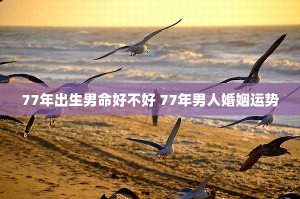77年出生男命好不好 77年男人婚姻运势