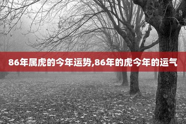86年属虎的今年运势,86年的虎今年的运气